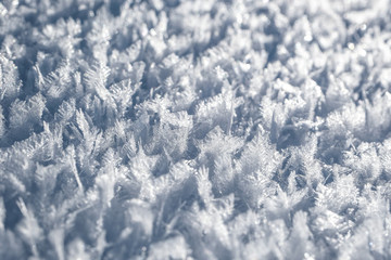 Close up of Snowflakes on a shiny pattern
