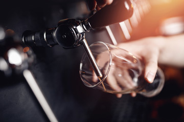 Bartender pours dark beer into glass. Selective focus on tap for craft alcoholic drinks in pub