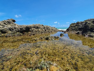 water on the rocks