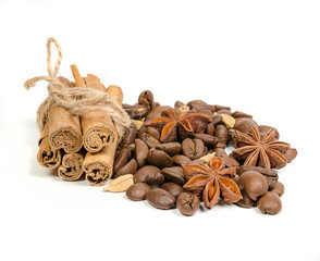 different spices on white background