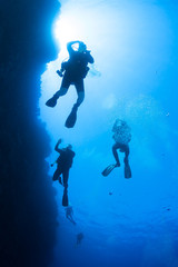 Fototapeta na wymiar Silhouette of scuba divers and sunlight underwater in the Red Sea. 