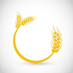 Beautiful wheat, grain golden vector round frame
