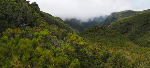 Ausblick von der Levada Alecrim, Madeira