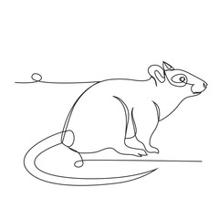 2020 year of the rat one line drawing on white isolated background
