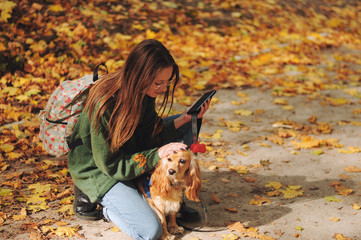 woman with american cocker spaniel walks at autumn park