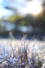 Morning glow glitter 2 