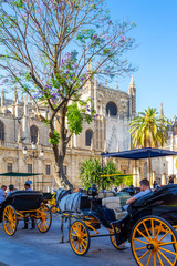 Fototapeta na wymiar Catedral de Sevilla mit Giralda im Herzen Andalusiens in Spanien. 
