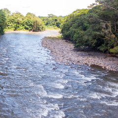 Im Tirimbina Reservat bei Puerto Viejo gelangt man über eine der längsten Hängebrücken Costa Ricas direkt in den tropischen Regenwald mit seiner exotischen Flora und Fauna