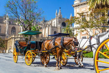 Fototapeta premium Catedral de Sevilla mit Giralda im Herzen Andalusiens in Spanien. 