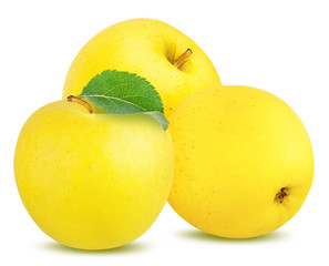 Fresh yellow apples isolated on white background with clipping path