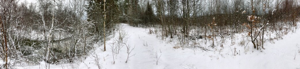 Panoramic view with winter river and snow forest. Beautiful winter landscape