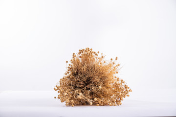 Yellow bouquet of dried flowers with wheat ears on a white background
