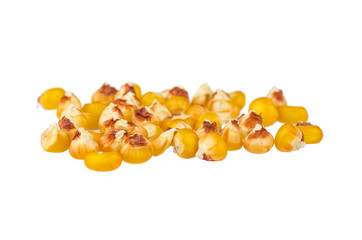Dried corn kernels on white background