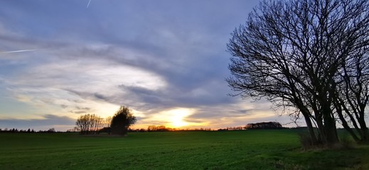 A fantastic sunset with red yellow orange and purple tones with dramatic cloud formation over green meadows with bare trees in January on the island of R&uuml;gen