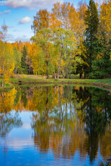 Pond in the autumn park on a sunny day