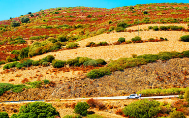 Car at the road at Teulada in Sardinia Island in Italy summer. Transport driving on the highway of...