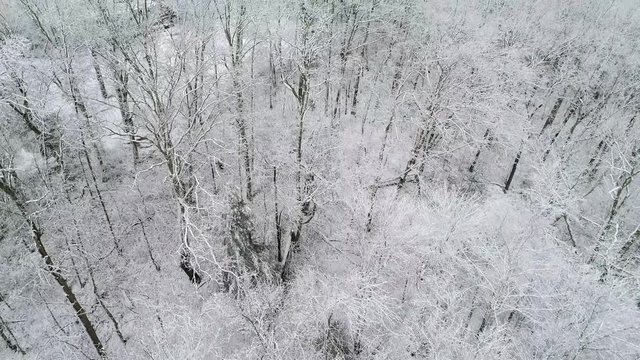 High angle aerial, Daniel Boone National Forest covered in snow