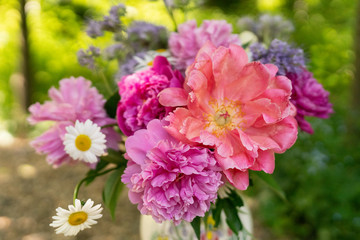 Fototapeta premium flowers in the garden