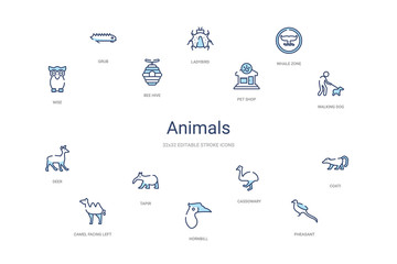 animals concept 14 colorful outline icons. 2 color blue stroke icons