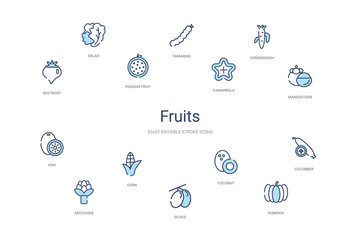 fruits concept 14 colorful outline icons. 2 color blue stroke icons