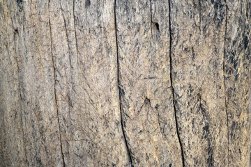 Background texture of an old wood panel composed of boards or planks for a vintage or rustic themed concept.
