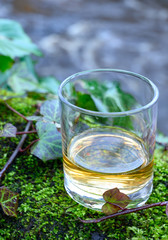 Scotch single malts or blended whisky spirits in glasses with water of river Spey on background, Scotland
