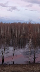 Flooding on the river in early spring in rural areas At dusk . Inundation. Naked earth after winter. The moon and trees are reflected in the water