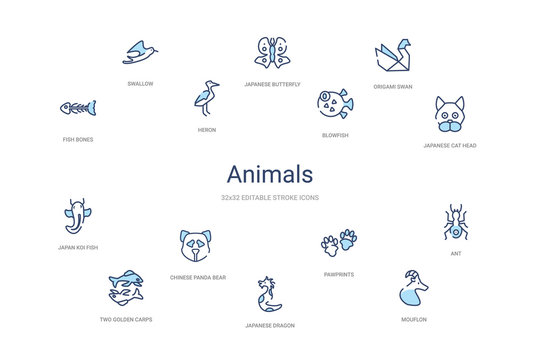 animals concept 14 colorful outline icons. 2 color blue stroke icons