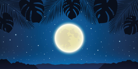 Fototapeta na wymiar romantic night background with full moon and palm tree leaves vector illustration EPS10
