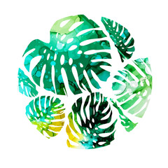 Abstract watercolor vector monstera leaves. Can be used for web pages, identity style, printing, invitations, banners, cards, leaflets. Vector illustration. Mixed media