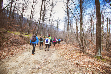 Obraz premium Hiking Group Of People Walking In Nature