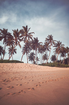 Retro toned picture of coconut palm trees by a beach.
