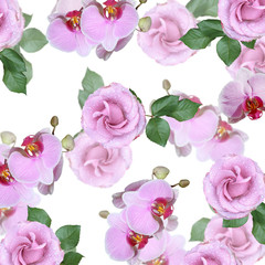 Beautiful floral background of orchids and roses. Isolated