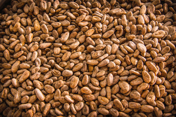 Natural Chocolate Roasted Cocoa on Roatan Island. Honduras