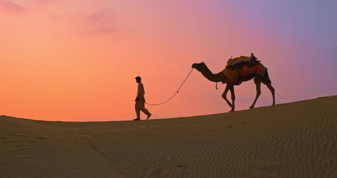 Indian cameleer (camel driver) bedouin with camel in sand dunes of Thar desert on sunset. Rajasthan travel tourism background safari adventure. Jaisalmer, Rajasthan, India