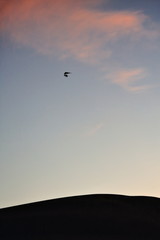 Ultralight plane-sunset blue sky with some clouds. Dunhunag Crescent Lake-Gansu-China-0691