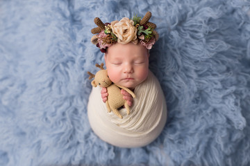 the first photo session of a newborn. newborn baby girl pose cocoon with a headband with horns and a deer toy on a blue background