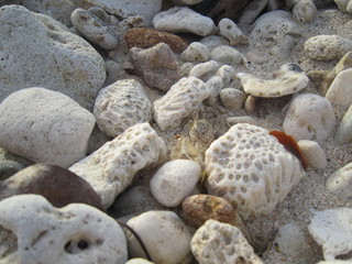 stones on the beach