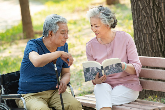 The elderly couple sitting in the park reading a book