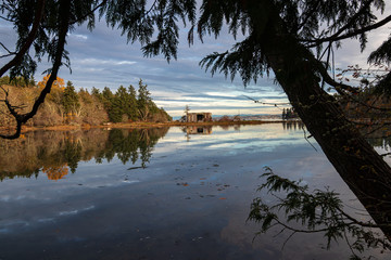 shoreline on bainbridge island with glow from the setting sun