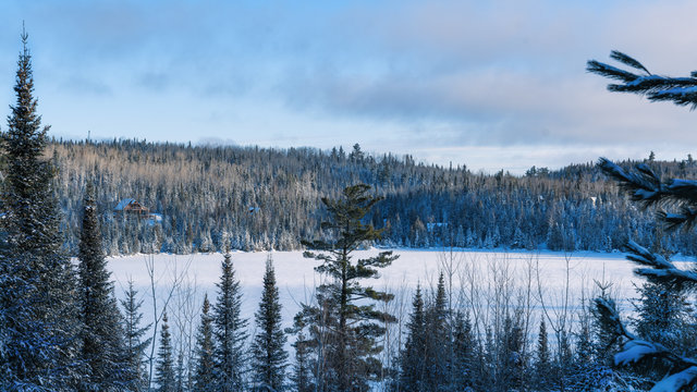 cabin in the north woods