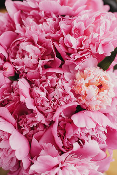 Beautiful peonies background. Stylish pink peony wallpaper, vertical image. Hello spring. Happy Mothers day greeting card. Happy valentines day