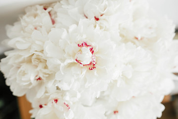 Lovely peony bouquet close up on white wall background. Stylish white peonies with red petals in vase. Hello spring wallpaper. Happy Mothers day. Happy valentines day