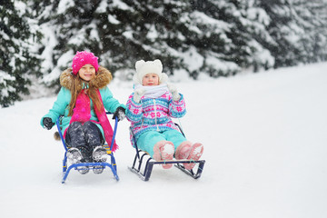 two little girl friends ride a sled on the background of snow and Christmas trees. Winter fun
