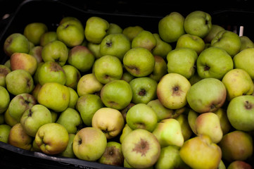 the fresh fuits on the market