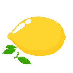 Lemon. Yellow citrus fruit. Vector illustration.