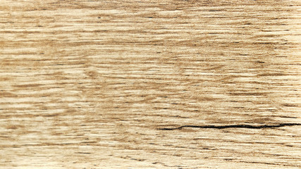 Wood texture background with natural patterns. Abstract backdrop