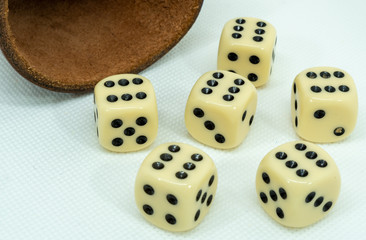 dices and shaker on white background