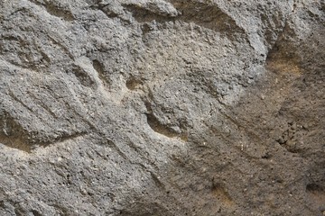 stone surface in the sun for background or texture