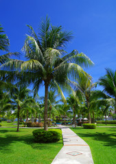 Fototapeta premium hotel resorts . garden stone path with grass.